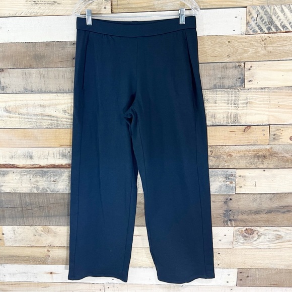 Eileen Fisher Stretch Jersey Knit Straight Pant NWT Black Size Small - Picture 3 of 11